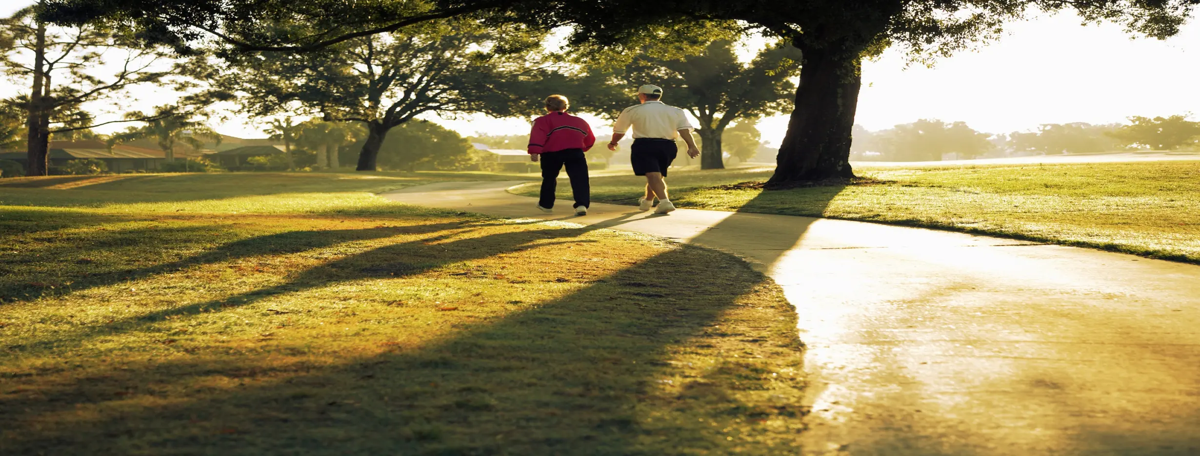 Image for Nature Walks